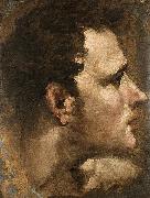 Domenico Beccafumi Head of a Youth Seen in Profile oil